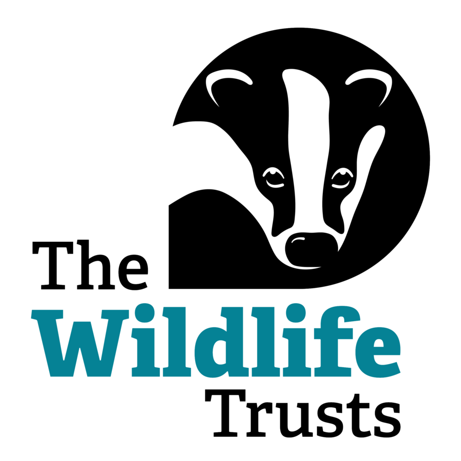 The Wildlife Trust Logo